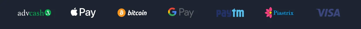 HoliganBet payment methods
